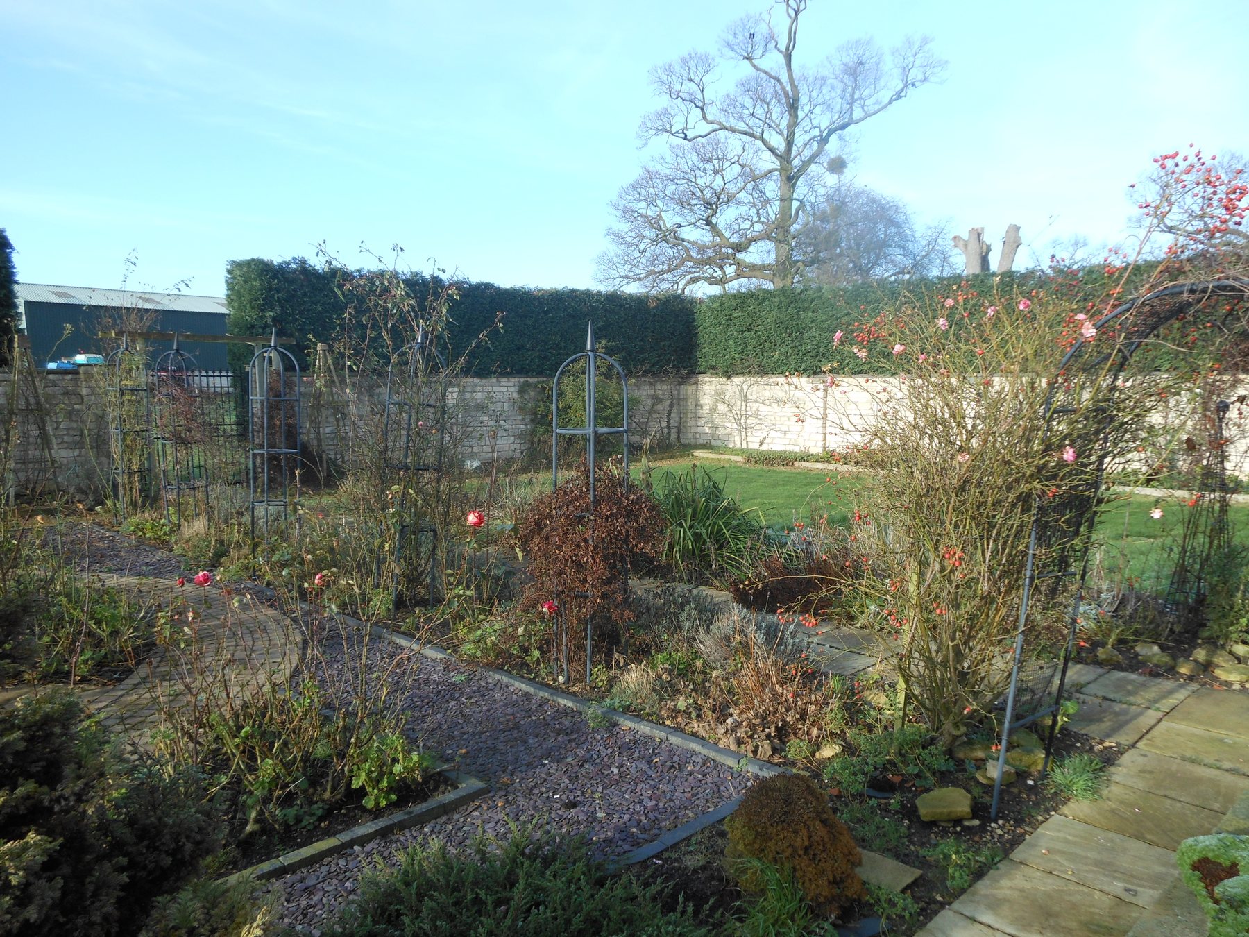 After: A long walled lawn, laid out as beds and gravel paths.