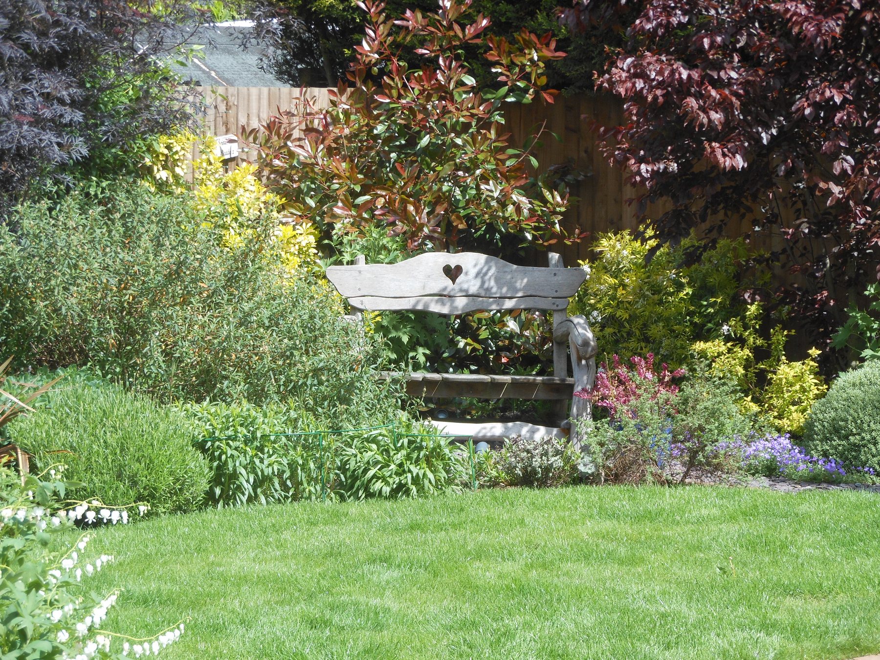 Mixed border around a lawn with a garden bench