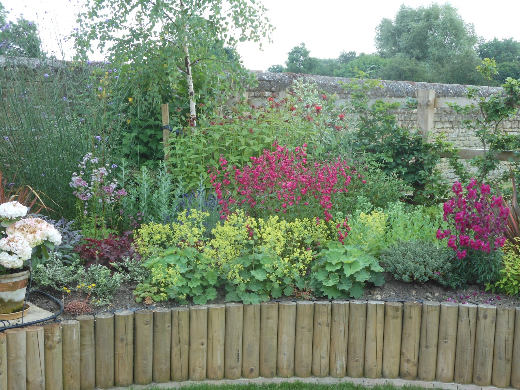 Colourful border behind log-roll edging